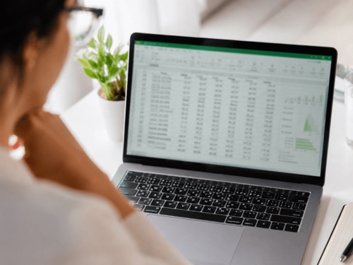 Laptopscherm gevuld met een grote spreadsheet